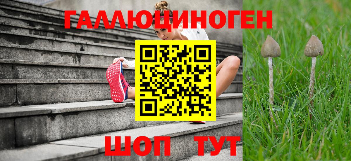 Псилоцибиновые грибы GOLDEN TEACHER Каменск-Шахтинский