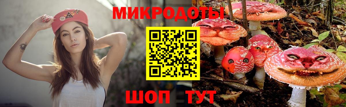 хочу наркоту  Псилоцибиновые грибы ЛСД  Каменск-Шахтинский  Вход с VPN  Галлюциногенные грибы Cubensis 
